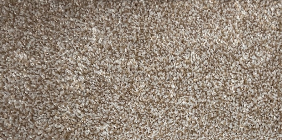Cosmic Latte.JPG
