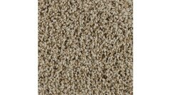 Quiet Beige-B.jpg