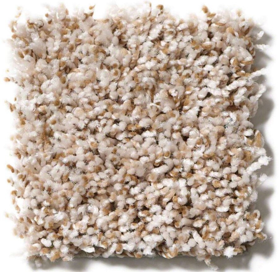 Sunny Day - Cool Breeze.JPG